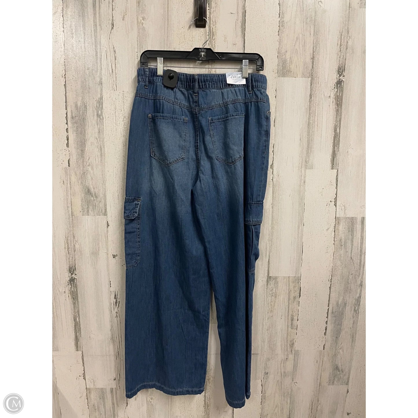 Pants Other By Curve Appeal In Blue, Size: 10