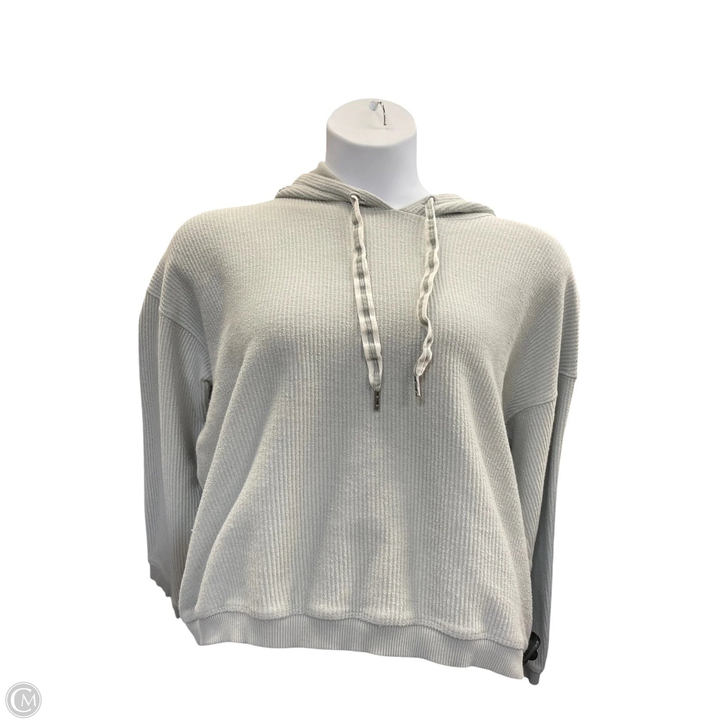 Sweatshirt Hoodie By Aerie In Blue, Size: L