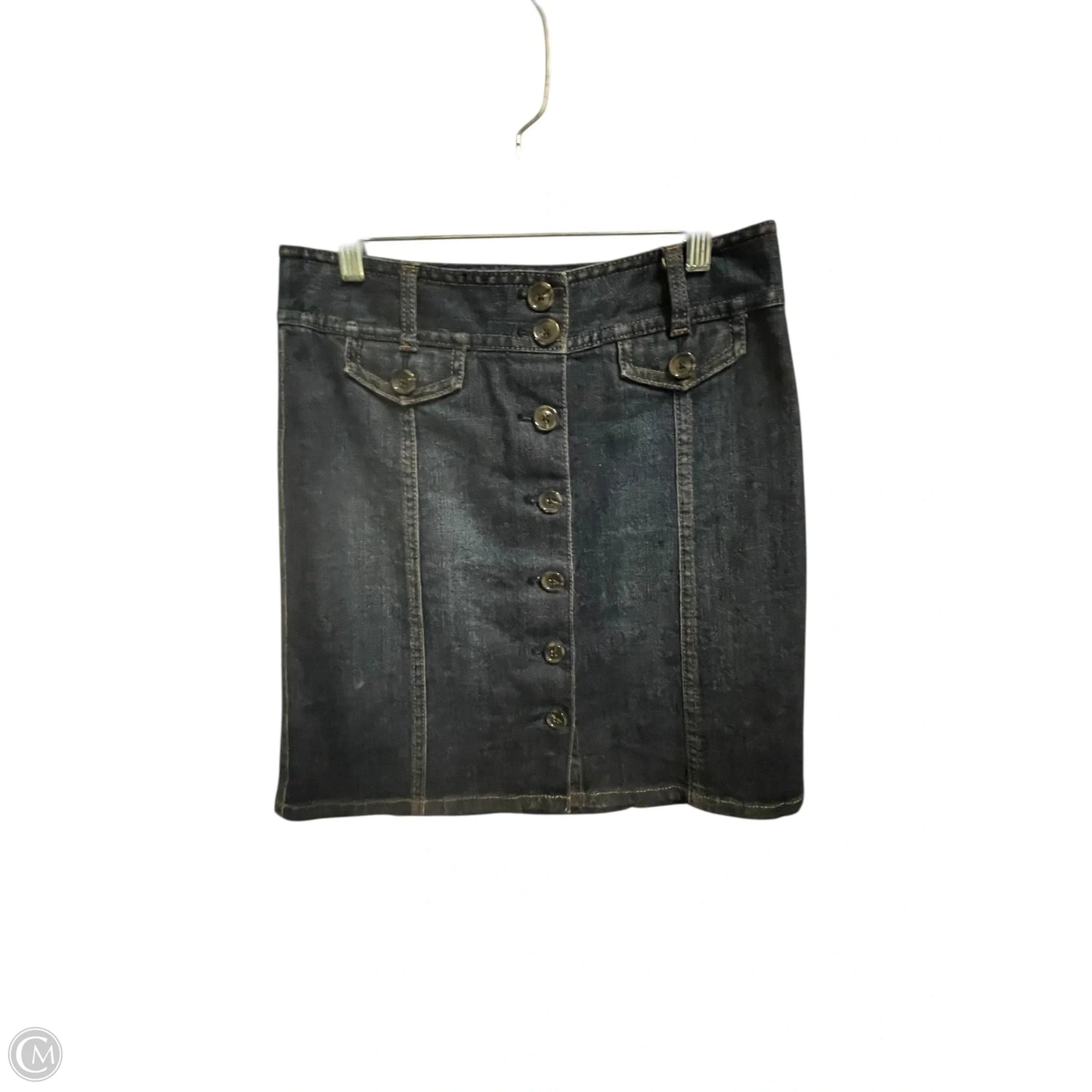 Skirt Maxi By Ann Taylor In Blue, Size: S