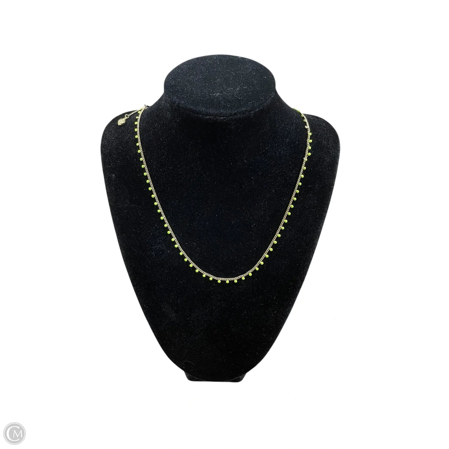 Necklace Chain By Kendra Scott