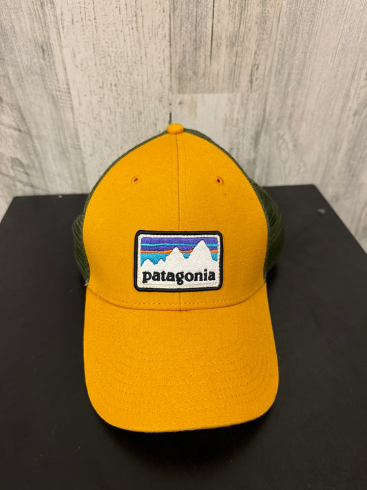 Hat Baseball Cap Patagonia