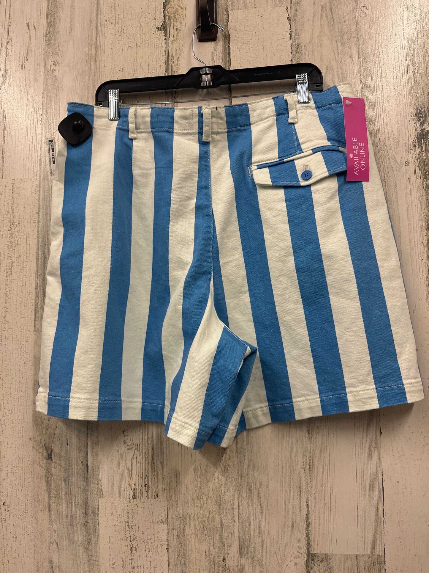 Blue Shorts Anthropologie, Size 14