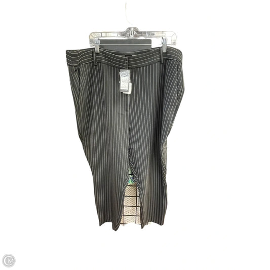 Pants Dress By City Chic In Black, Size: 22