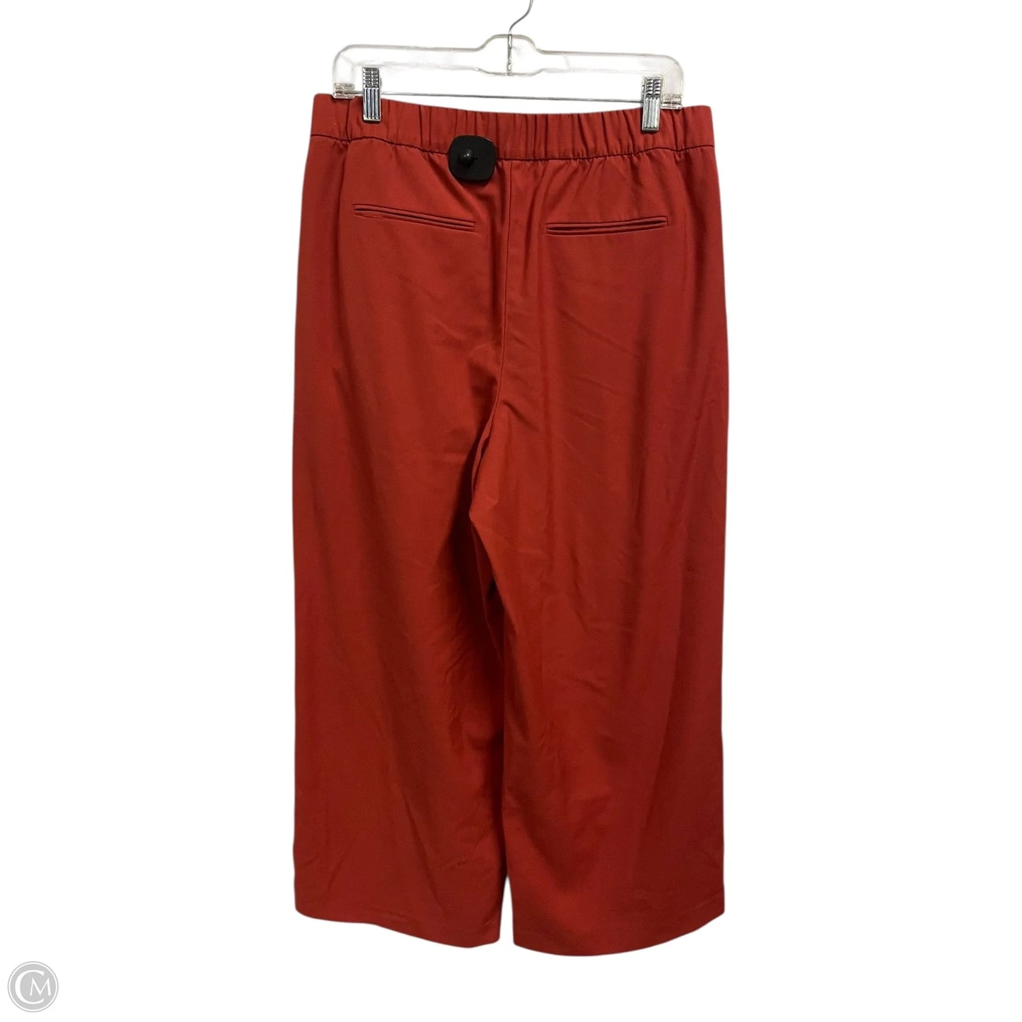 Pants Other By Ann Taylor In Orange, Size: L