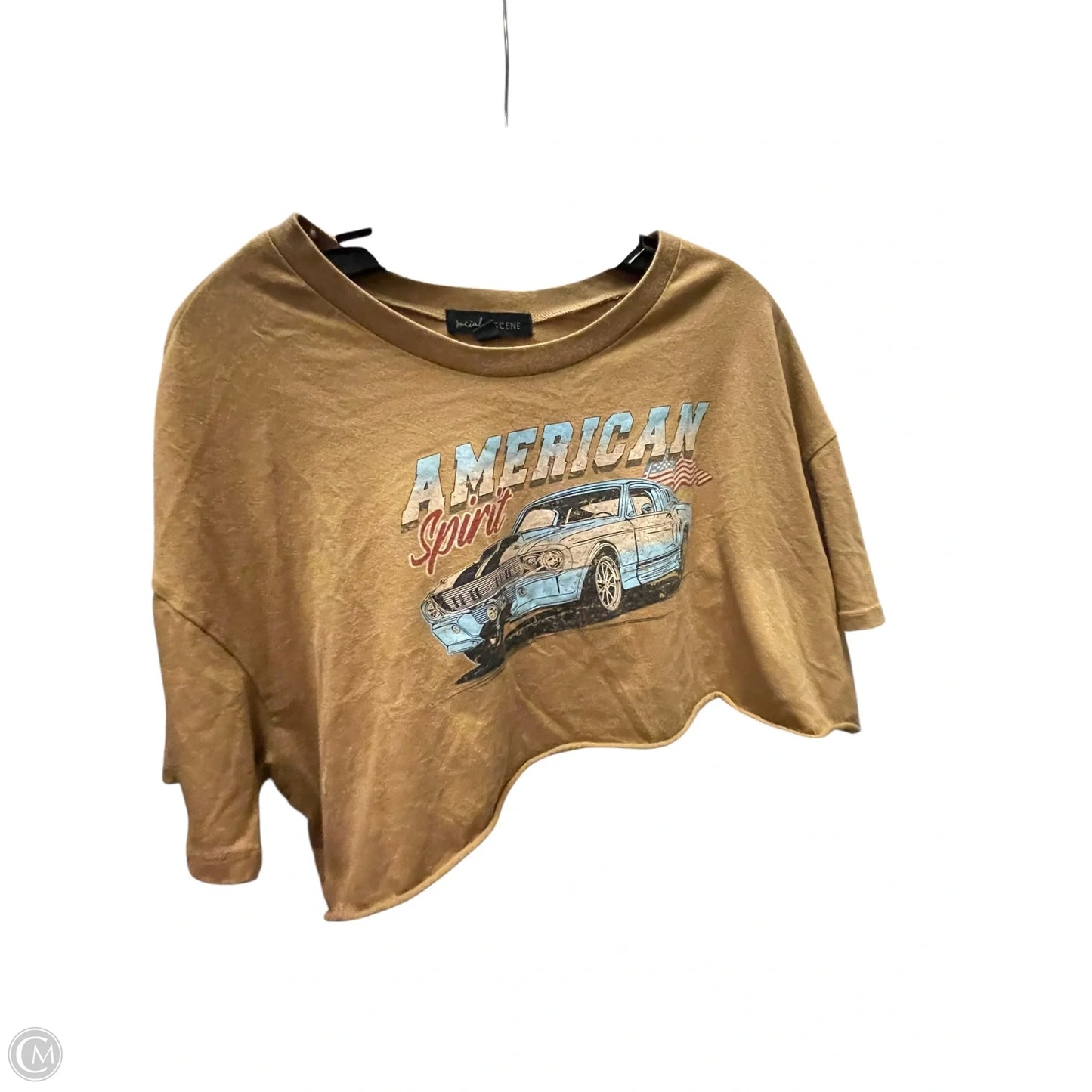 Top Short Sleeve Basic By Clothes Mentor In Brown, Size: 2x