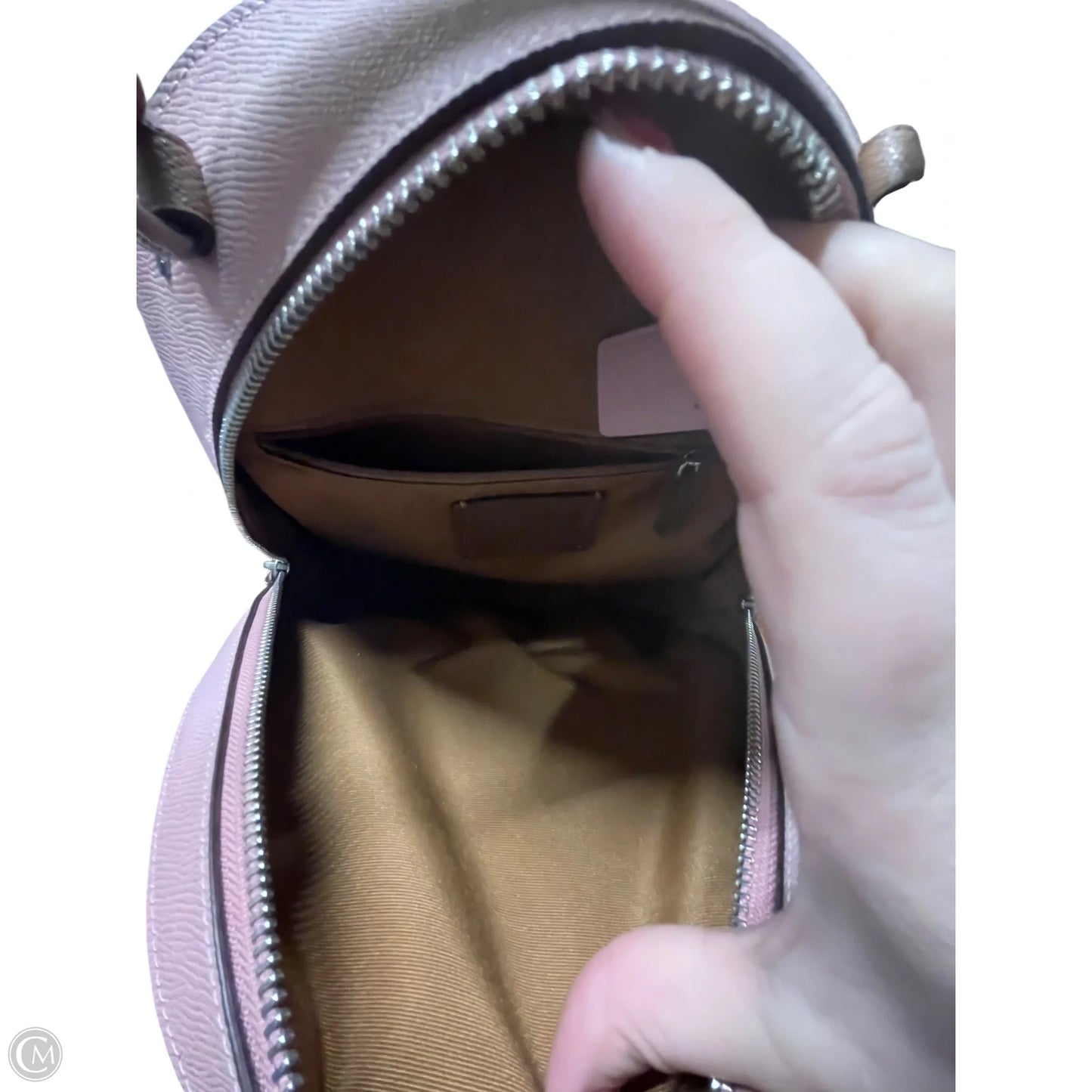Backpack Designer By Coach, Size: Medium