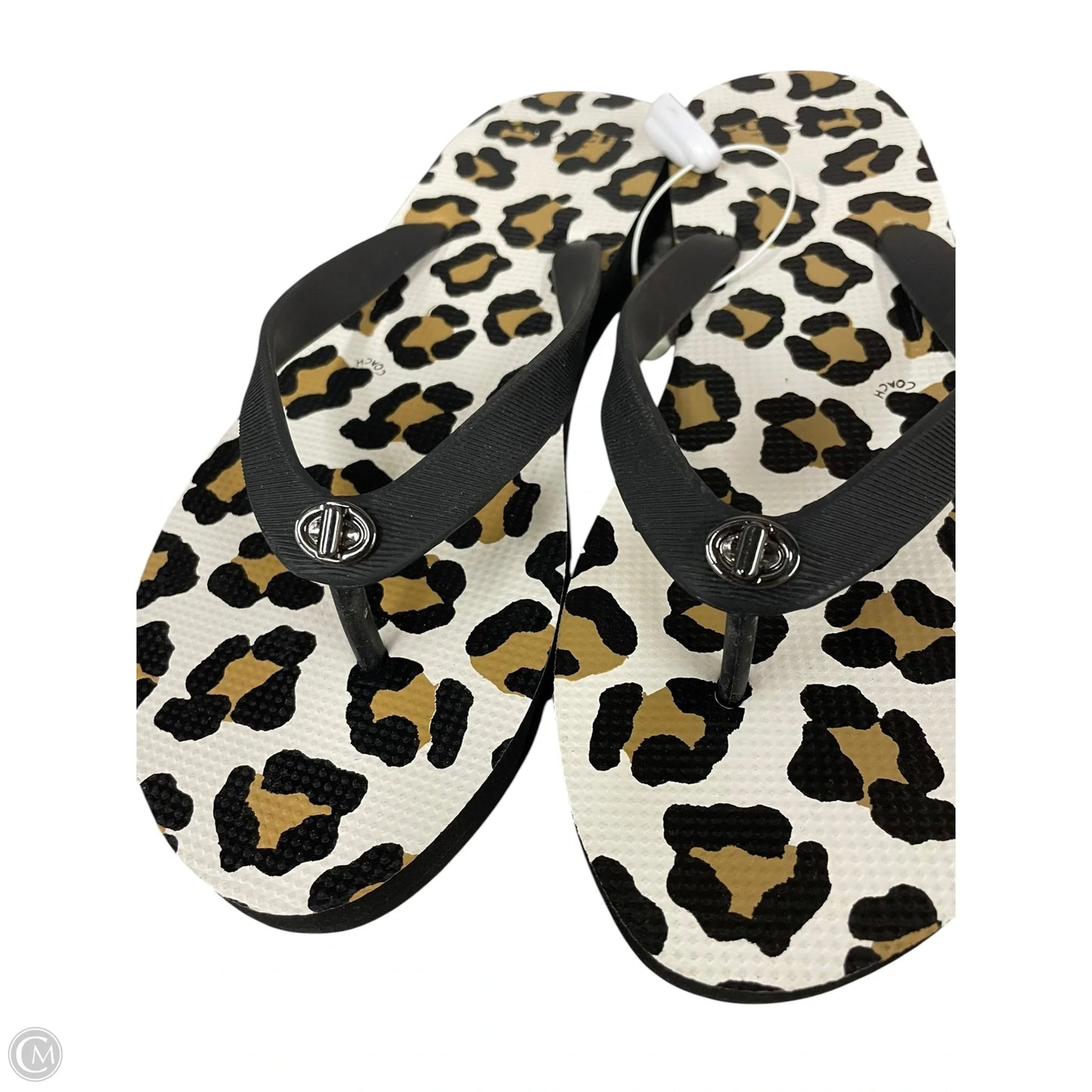 Shoes Designer By Coach In Leopard Print, Size: 8