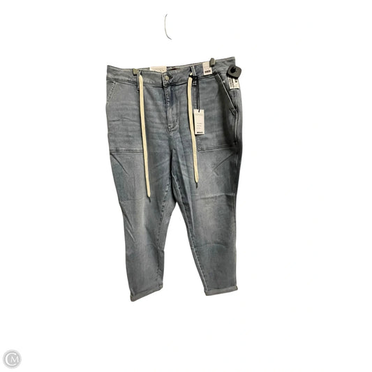 Jeans Skinny By Judy Blue In Blue, Size: 18