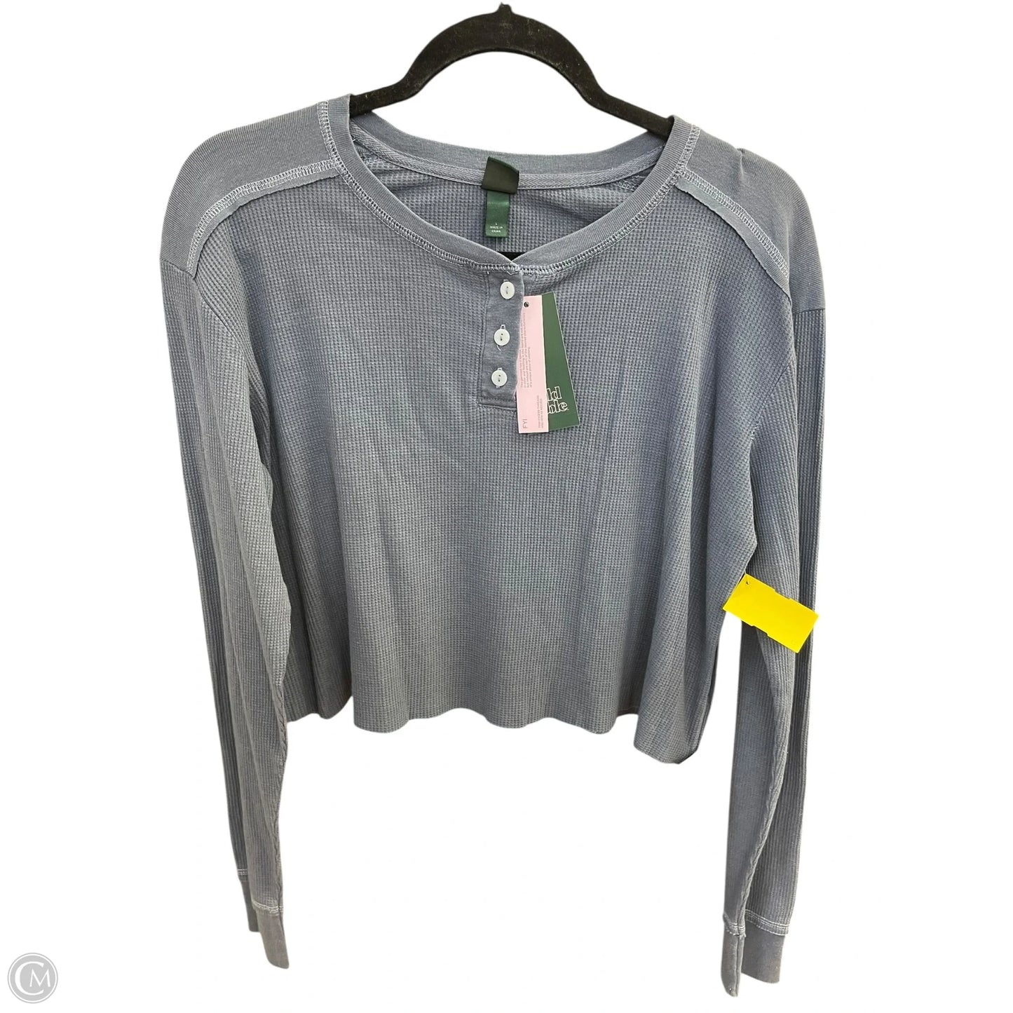 Top Long Sleeve By Wild Fable In Blue, Size: L